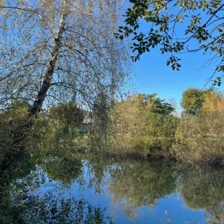 キャンプ場 Blue Grass Ranch - Mobilhome Cactus Bischoffsheim