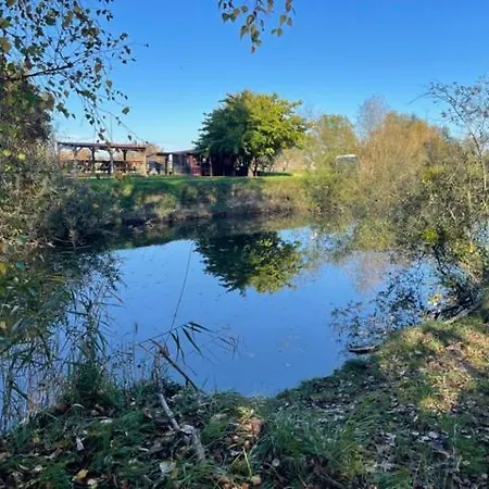 Blue Grass Ranch - Mobilhome Cactus キャンプ場 *