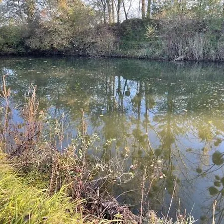 キャンプ場 Blue Grass Ranch - Mobilhome Cactus