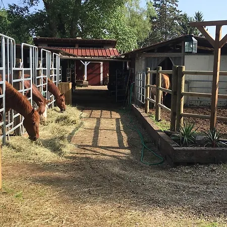 Blue Grass Ranch - Mobilhome Cactus & Jacuzzi אתר קמפינג Bischoffsheim