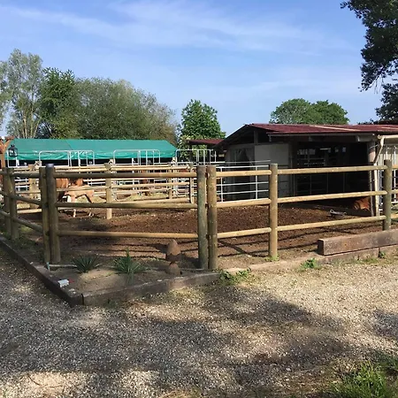Parque de Campismo Blue Grass Ranch - Mobilhome Cactus & Jacuzzi Bischoffsheim