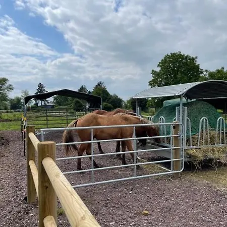 Blue Grass Ranch - Mobilhome Cactus キャンプ場 Bischoffsheim