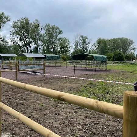 Blue Grass Ranch - Mobilhome Cactus & Jacuzzi * Bischoffsheim