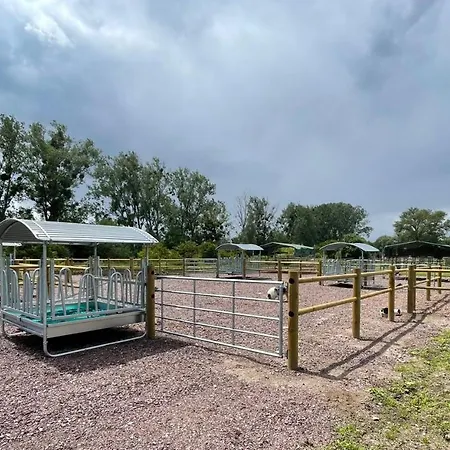 Blue Grass Ranch - Mobilhome Cactus & Jacuzzi