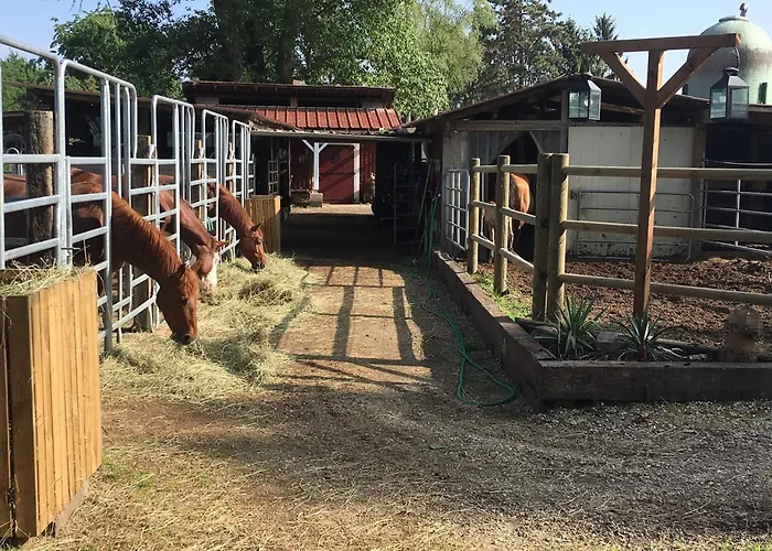 Blue Grass Ranch - Mobilhome Cactus & Jacuzzi Parque de Campismo Bischoffsheim