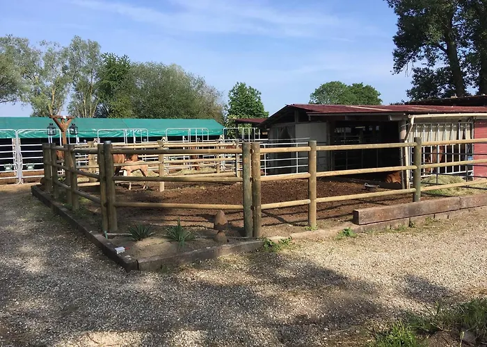 Parque de Campismo Blue Grass Ranch - Mobilhome Cactus & Jacuzzi Bischoffsheim