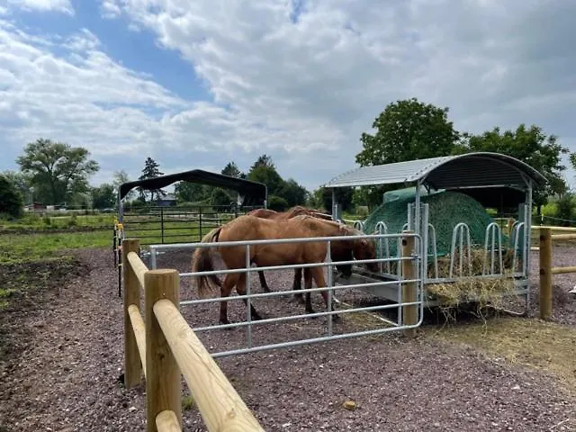 Blue Grass Ranch - Mobilhome Cactus & Jacuzzi Parque de Campismo Bischoffsheim