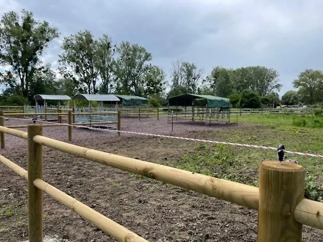 Blue Grass Ranch - Mobilhome Cactus & Jacuzzi * Bischoffsheim
